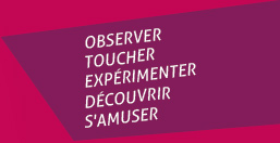 OBSERVER - TOUCHER - EXPERIMENTER - DECOUVRIR - S'AMUSER